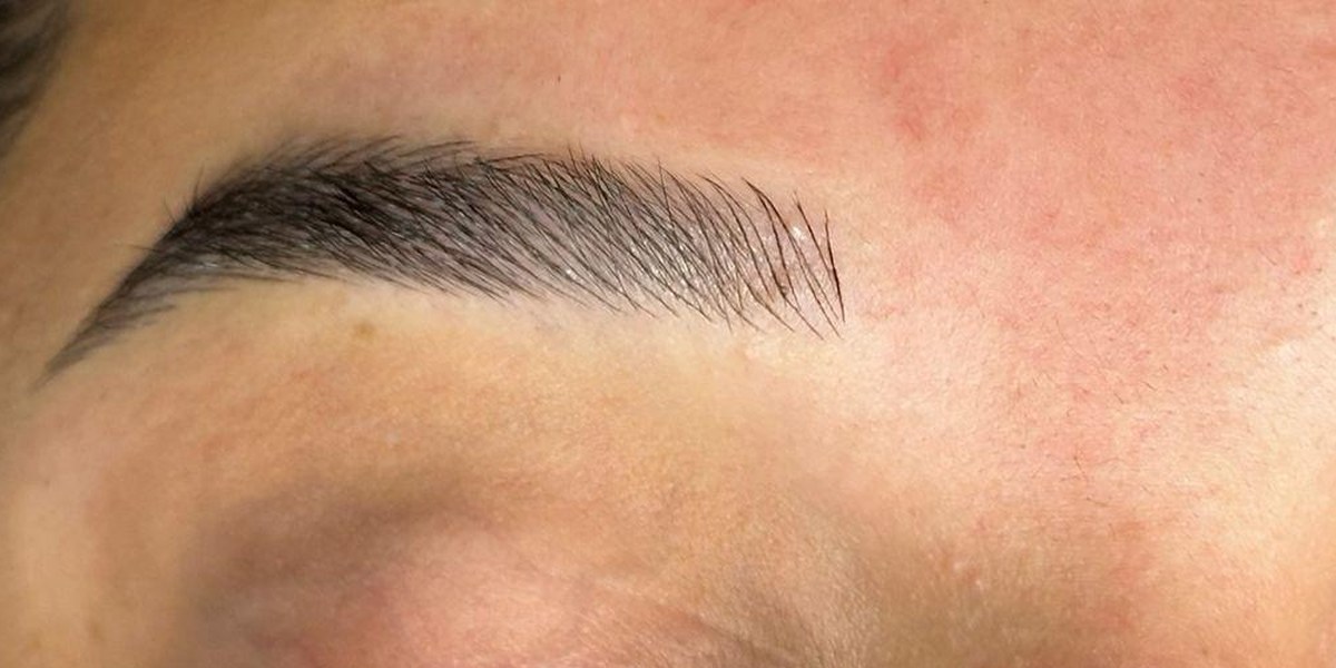 Healed Combo brows by Penelope Gomes Beauty