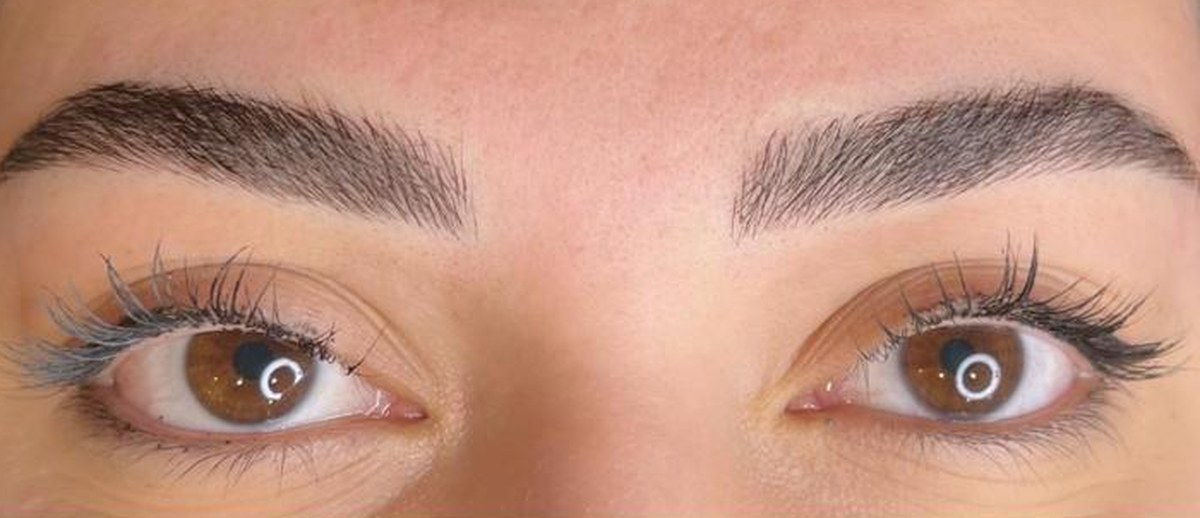 Healed Microblading brows by Penelope Gomes Beauty
